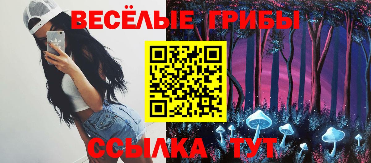Галлюциногенные грибы Cubensis Мариинск